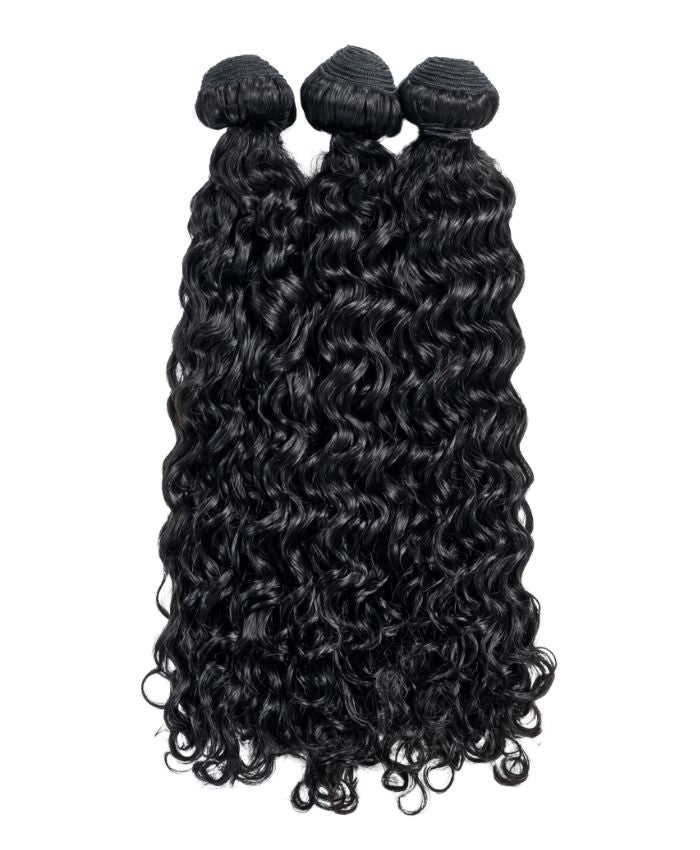 Burmese Curly
