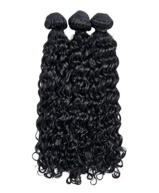 Burmese Curly